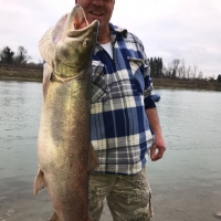 Huchenfang von Hans Wagner vom 03.12.17